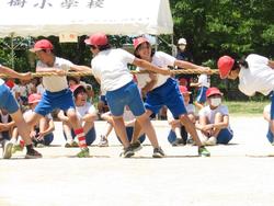 5・6年生綱引き