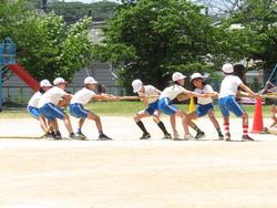 5・6年生綱引き