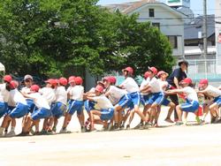 5・6年生綱引き