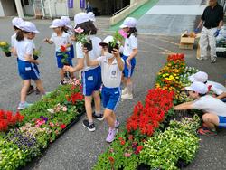 3年生花いっぱい運動