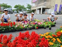 3年生花いっぱい運動