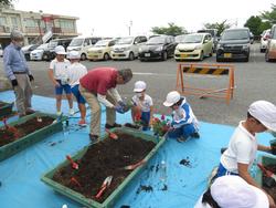 3年生花いっぱい運動