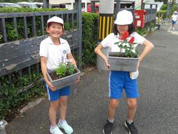 3年生花いっぱい運動