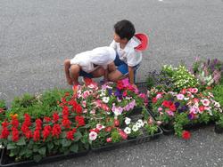 3年生花いっぱい運動