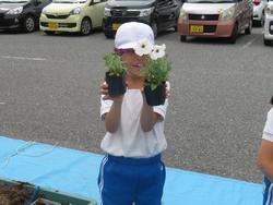 3年生花いっぱい運動