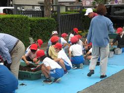 3年生花いっぱい運動