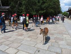 東大寺での様子