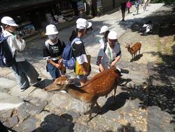 東大寺で班別行動