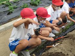3年生総合的な学習の時間