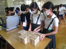 6年生租税教室