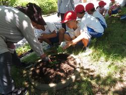 老人クラブの方々と花植え