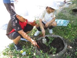 老人クラブの方々と花植え