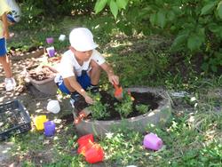 老人クラブの方々と花植え