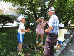 老人クラブの方々と花植え