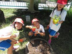 老人クラブの方々と花植え
