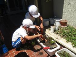 老人クラブの方々と花植え