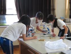 6年生理科の授業