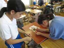 環境委員会の様子