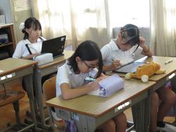 5年生国語の授業