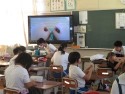 ファミリー活動の様子