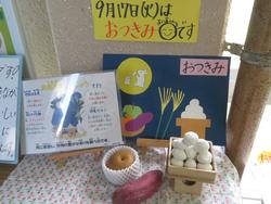 今日はお月見です