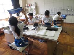 4年生理科の授業
