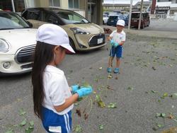 さつまいものツルをきれいにしたよ
