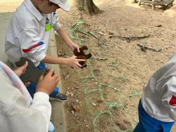 焼き板洗いの様子