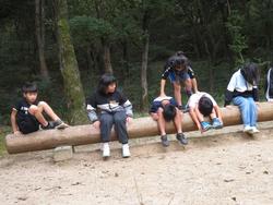 冒険プログラム（2組）の様子