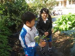 幼稚園の柿をいただきに行きました