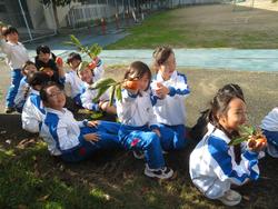 幼稚園の柿をいただきに行きました