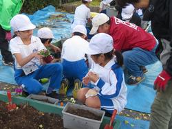 3年生花いっぱい運動の様子