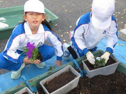 3年生花いっぱい運動の様子