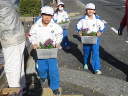 3年生花いっぱい運動の様子
