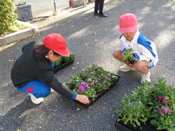 3年生花いっぱい運動の様子