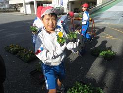 3年生花いっぱい運動の様子