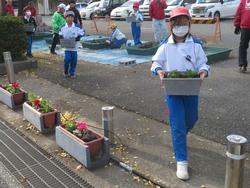 3年生花いっぱい運動の様子