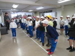 3年生花いっぱい運動の様子