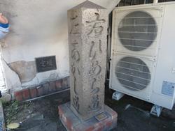 三樹っ子探検クラブの様子