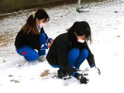 運動場で雪遊びをする三樹っ子たち