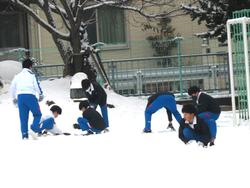 運動場で雪遊びをする三樹っ子たち