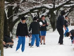 運動場で雪遊びをする三樹っ子たち