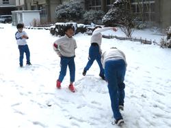 中庭で雪遊びをする三樹っ子たち