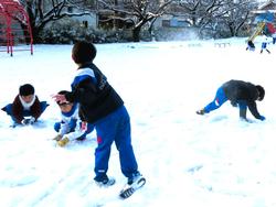 運動場で雪遊びをする三樹っ子たち