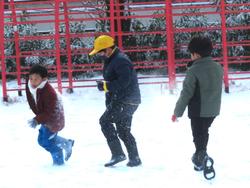 運動場で雪遊びをする三樹っ子たち
