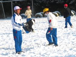 運動場で雪遊びをする三樹っ子たち