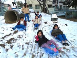 運動場で雪遊びをする三樹っ子たち