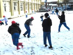運動場で雪遊びをする三樹っ子たち