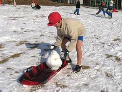 運動場で雪遊びを楽しむ三樹っ子たち