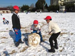 運動場で雪遊びを楽しむ三樹っ子たち